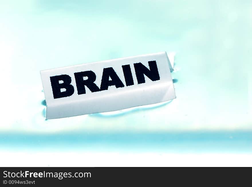 Card floating on water surface with printed word: BRAIN. Card floating on water surface with printed word: BRAIN