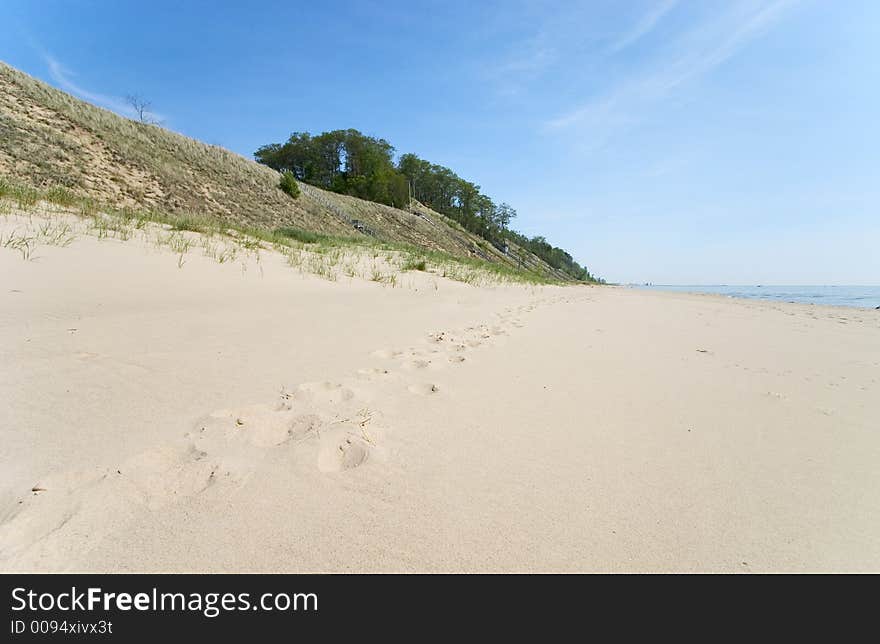 Beach Tracks