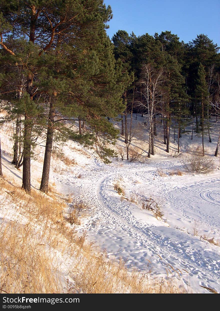 Winter landscape