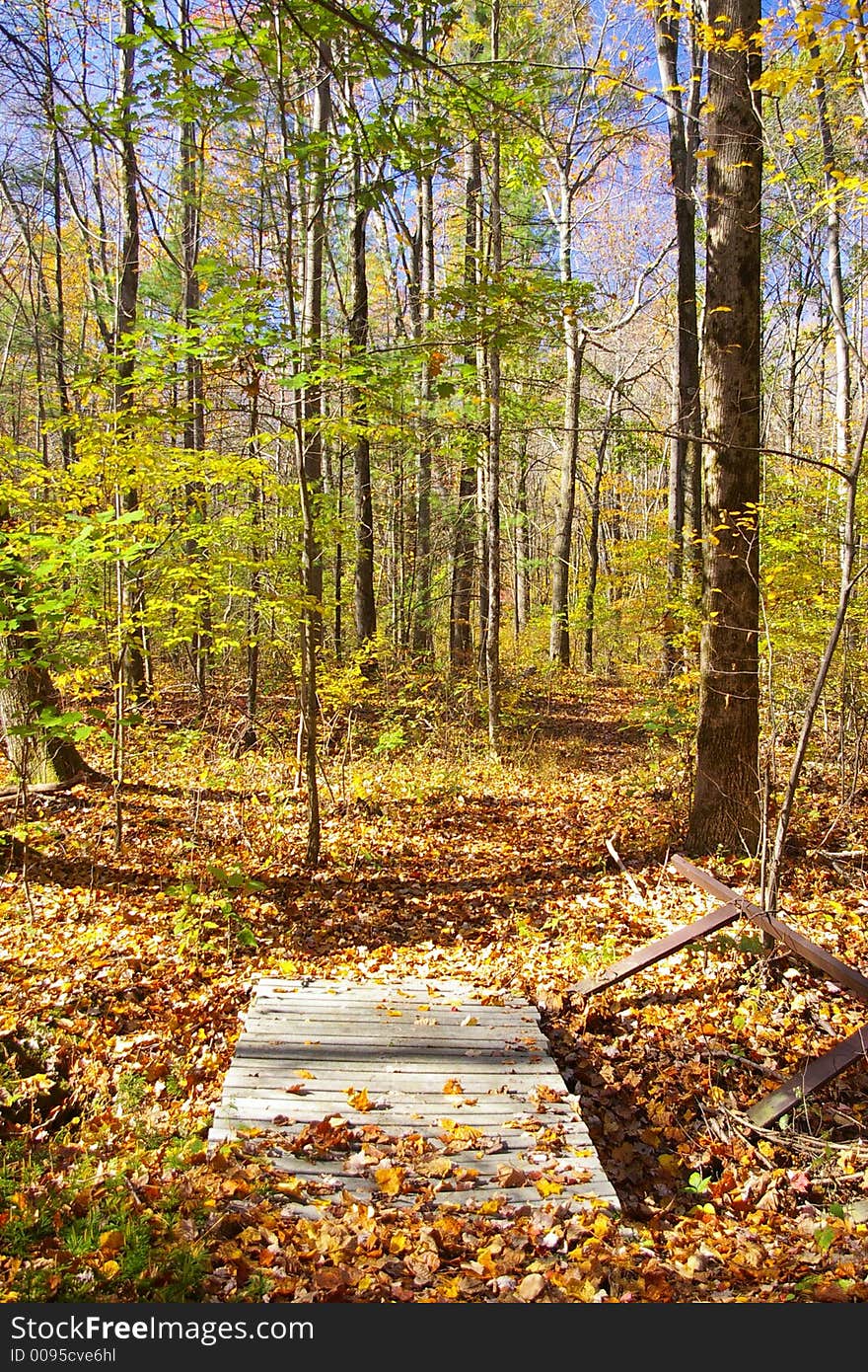 Autumn walking trail