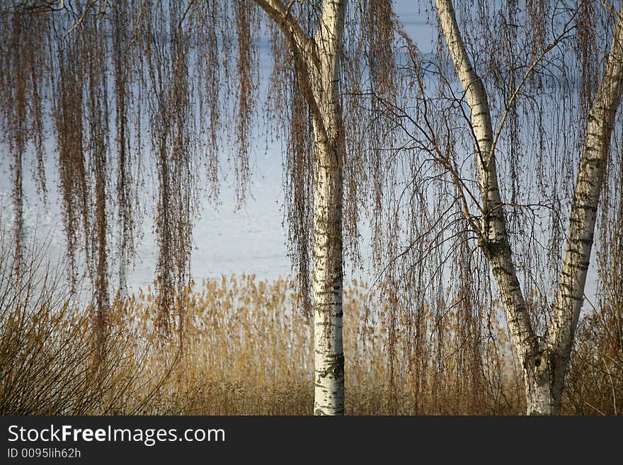 Winter lake