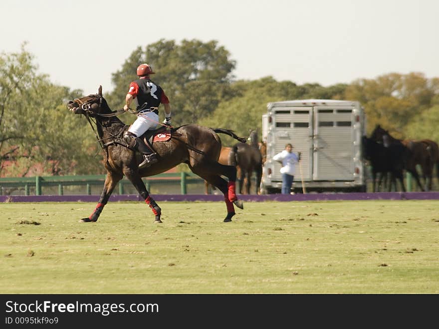 A polo match in Texas