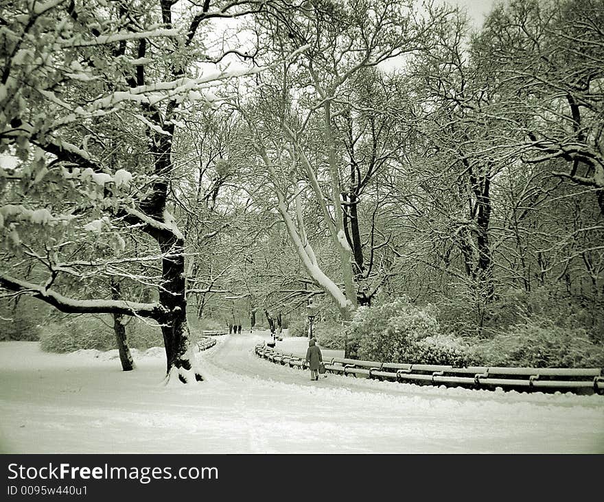 Park in winter, with path and snow-covered trees