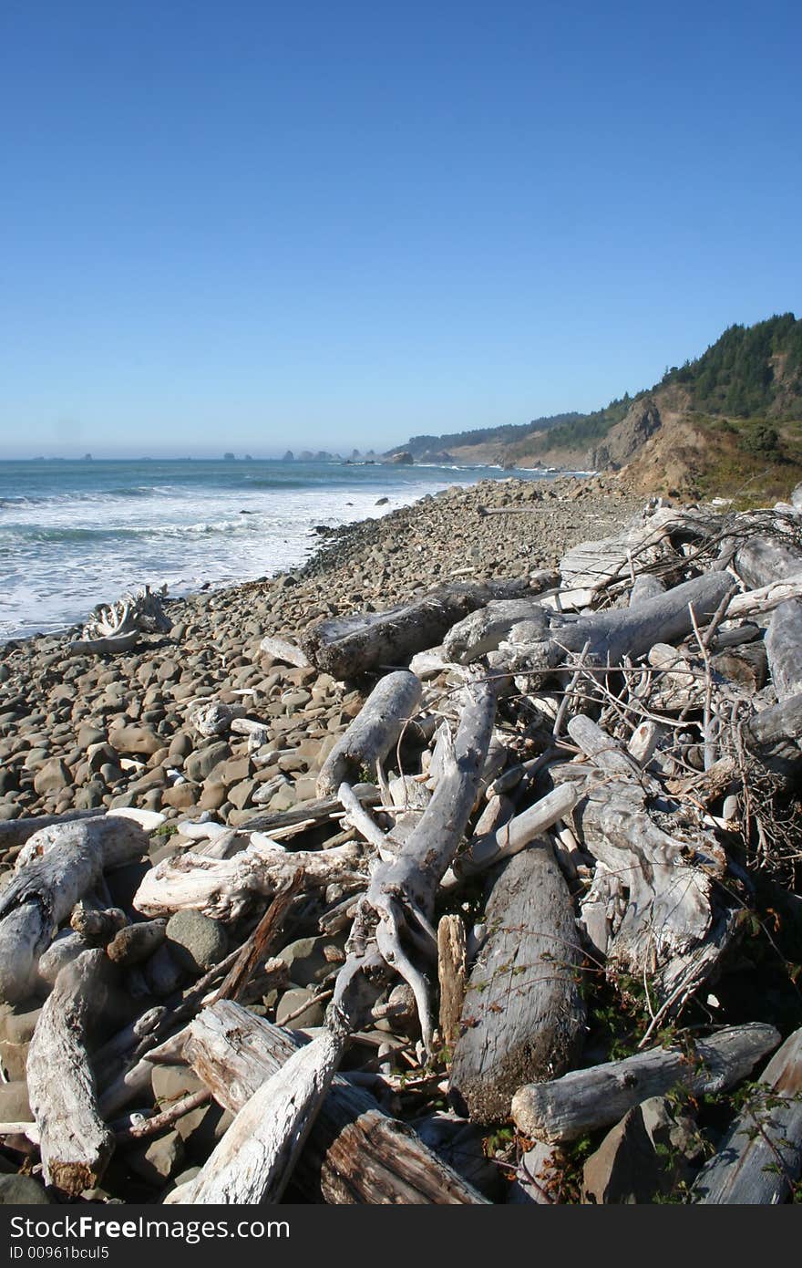 Driftwood on beach in oregon