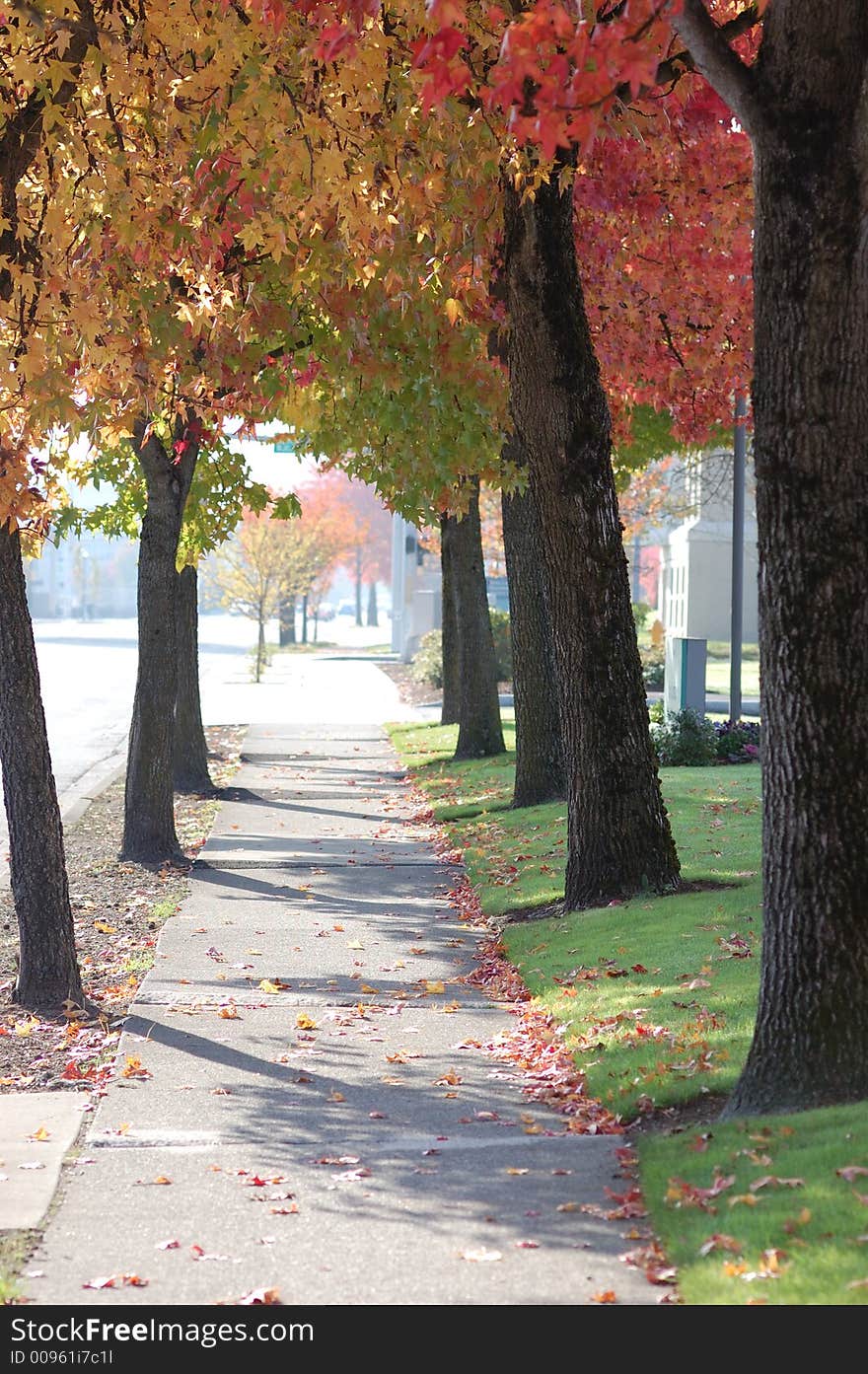 Quiet walkway with Fall colors. Quiet walkway with Fall colors