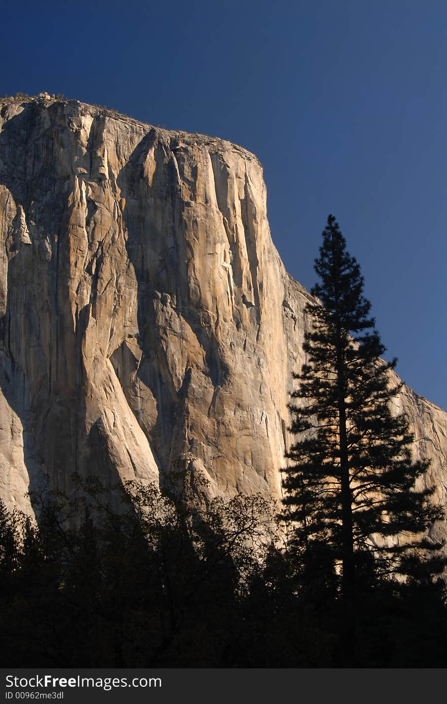 Morning Sun Hitting El Capitan In Yosemite National Park