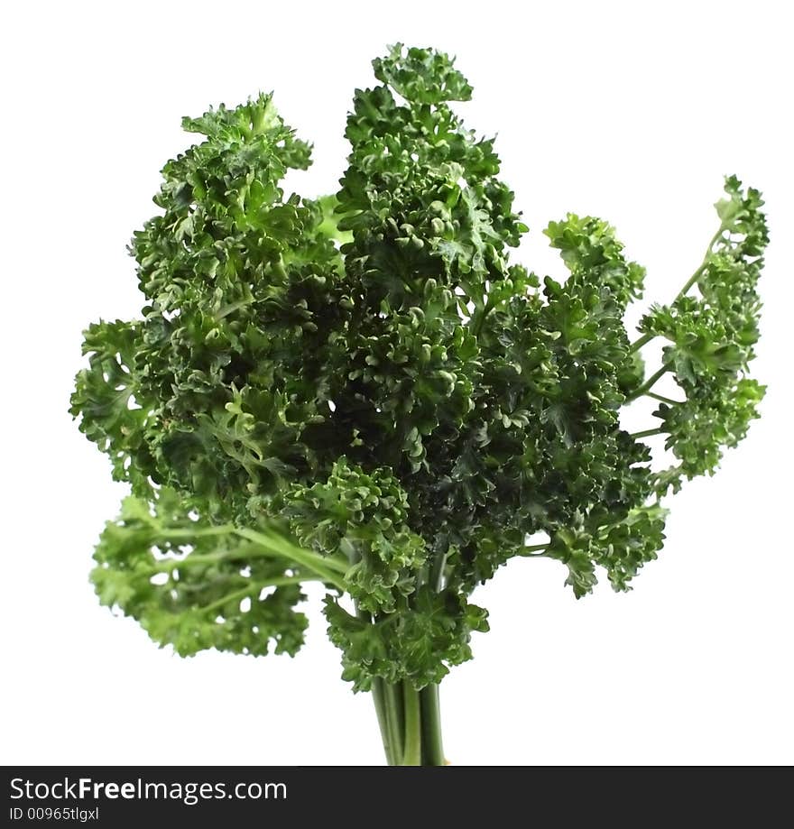 Green parsley isolated over white background