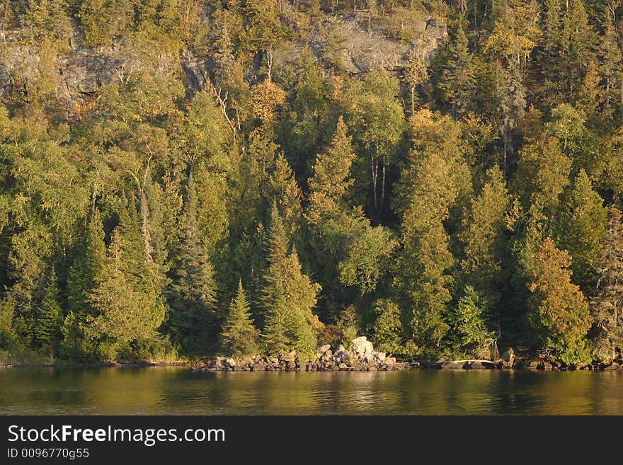 Chippewa Harbor forest scene at sunset - Isle Royale National Park