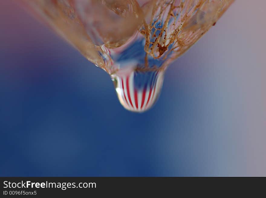 American flag in drop hanging from a physalis. American flag in drop hanging from a physalis