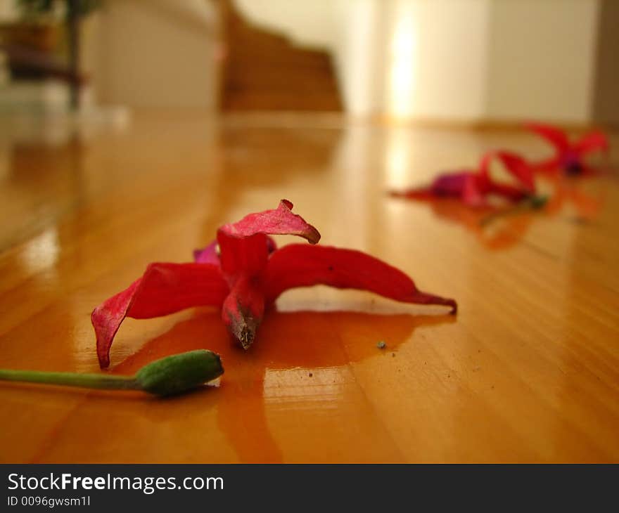 House interior detail with red flowers and stairs in the background