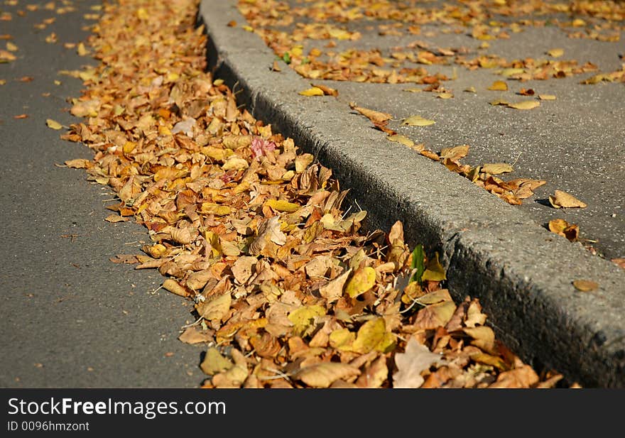 Yellow leaves