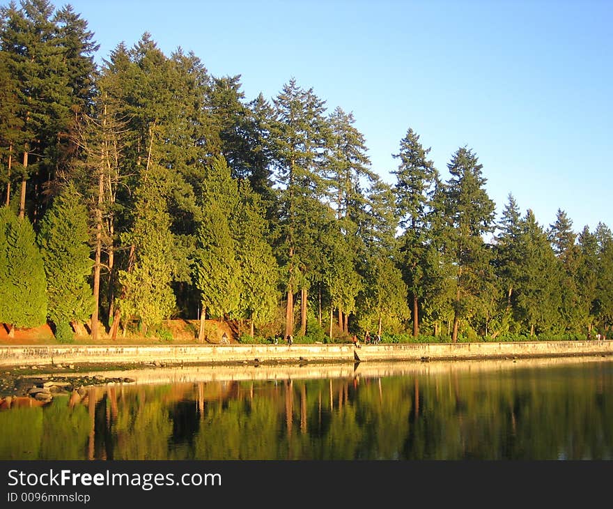 Trees reflected in sea along the seawalk in a park. Trees reflected in sea along the seawalk in a park