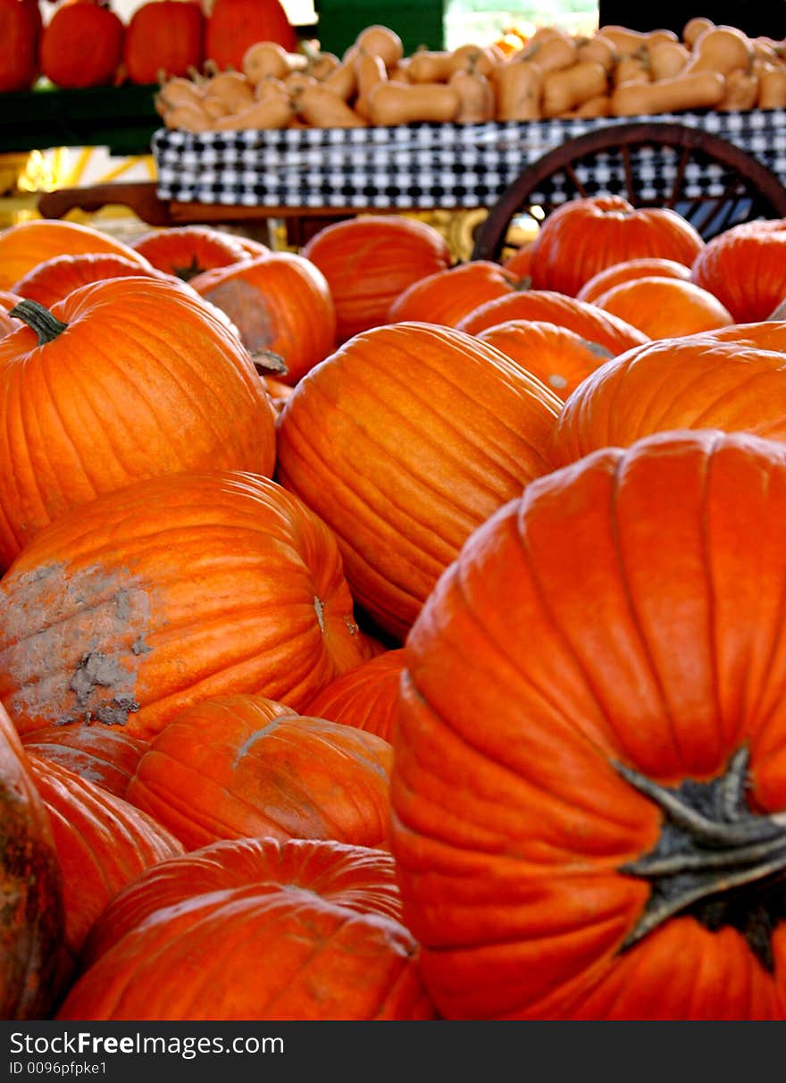 Pumpkin Farm