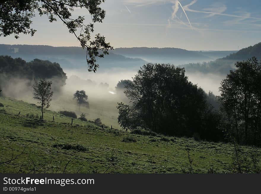 Autumn Mist