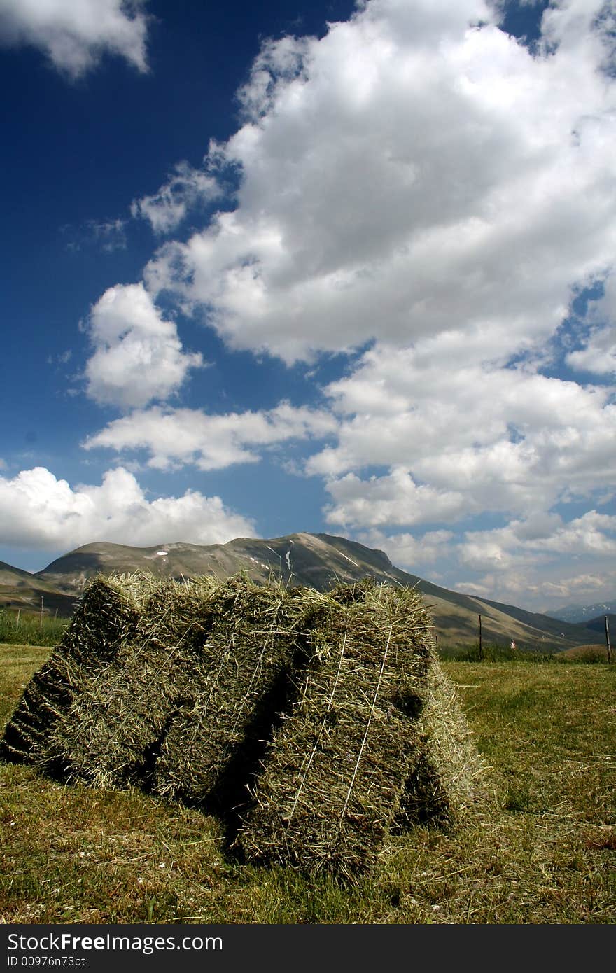 Countryside Landscape 2