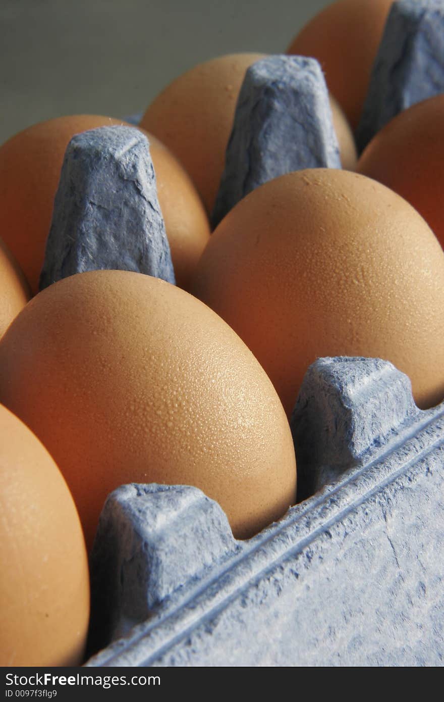 Brown Eggs in blue carton. Brown Eggs in blue carton