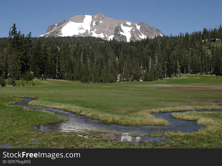 Upper Meadow