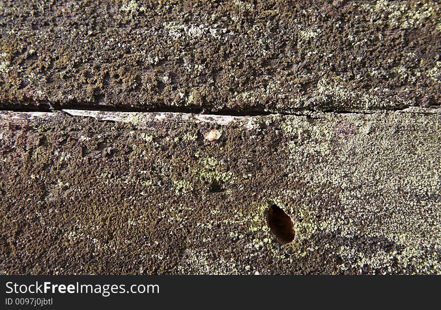 Wood and moss texture for background