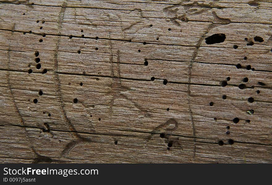 Wood texture