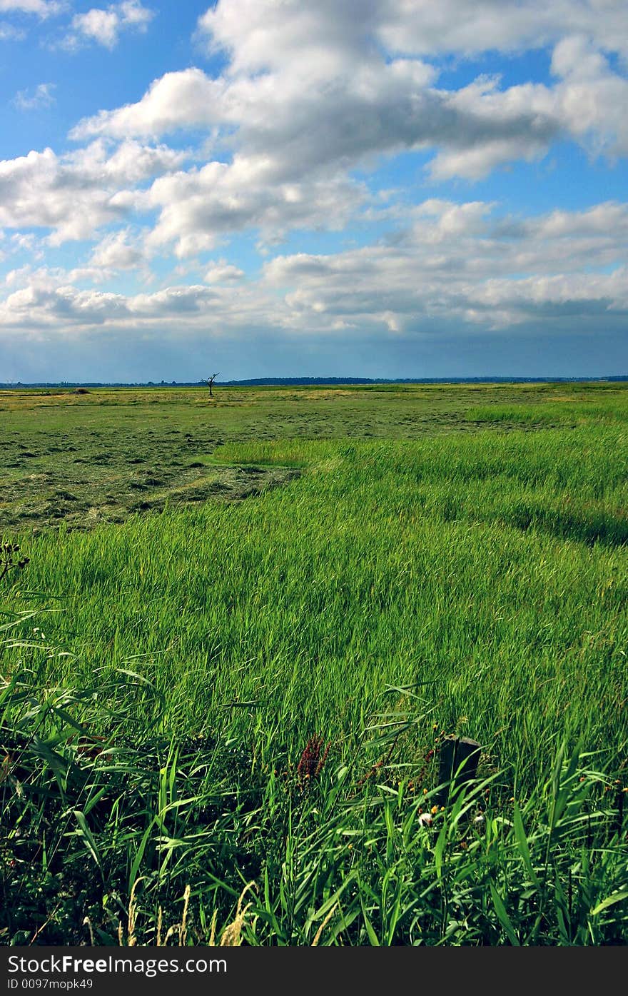 Green field