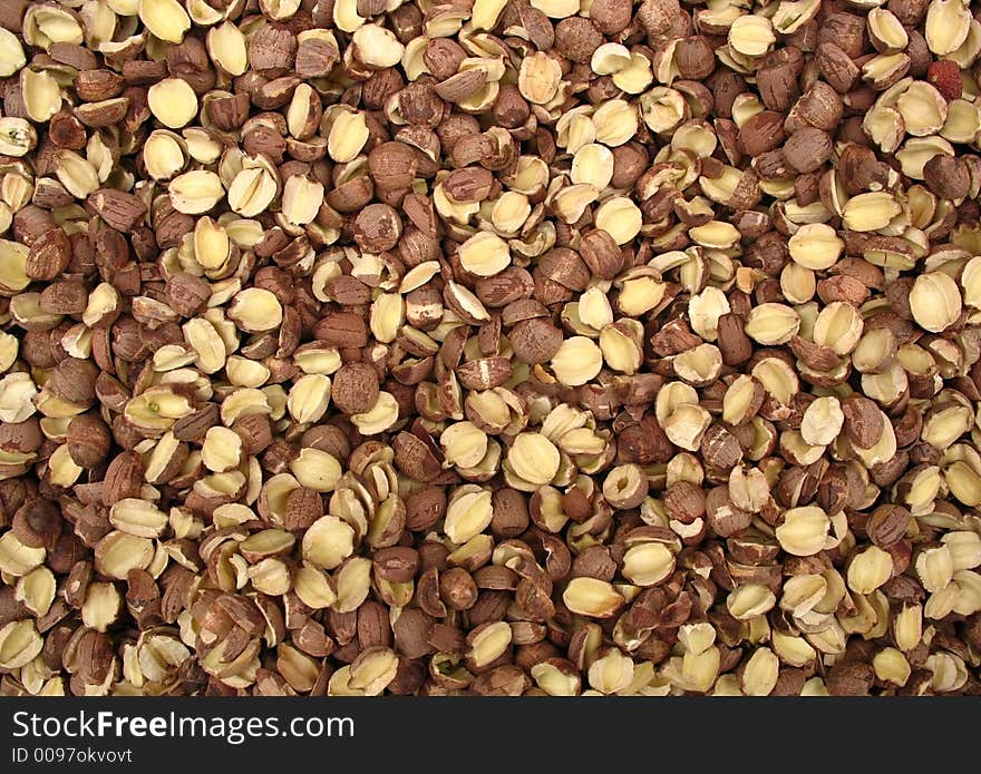 Many small brown dried nuts from Chinese market in macro close-up