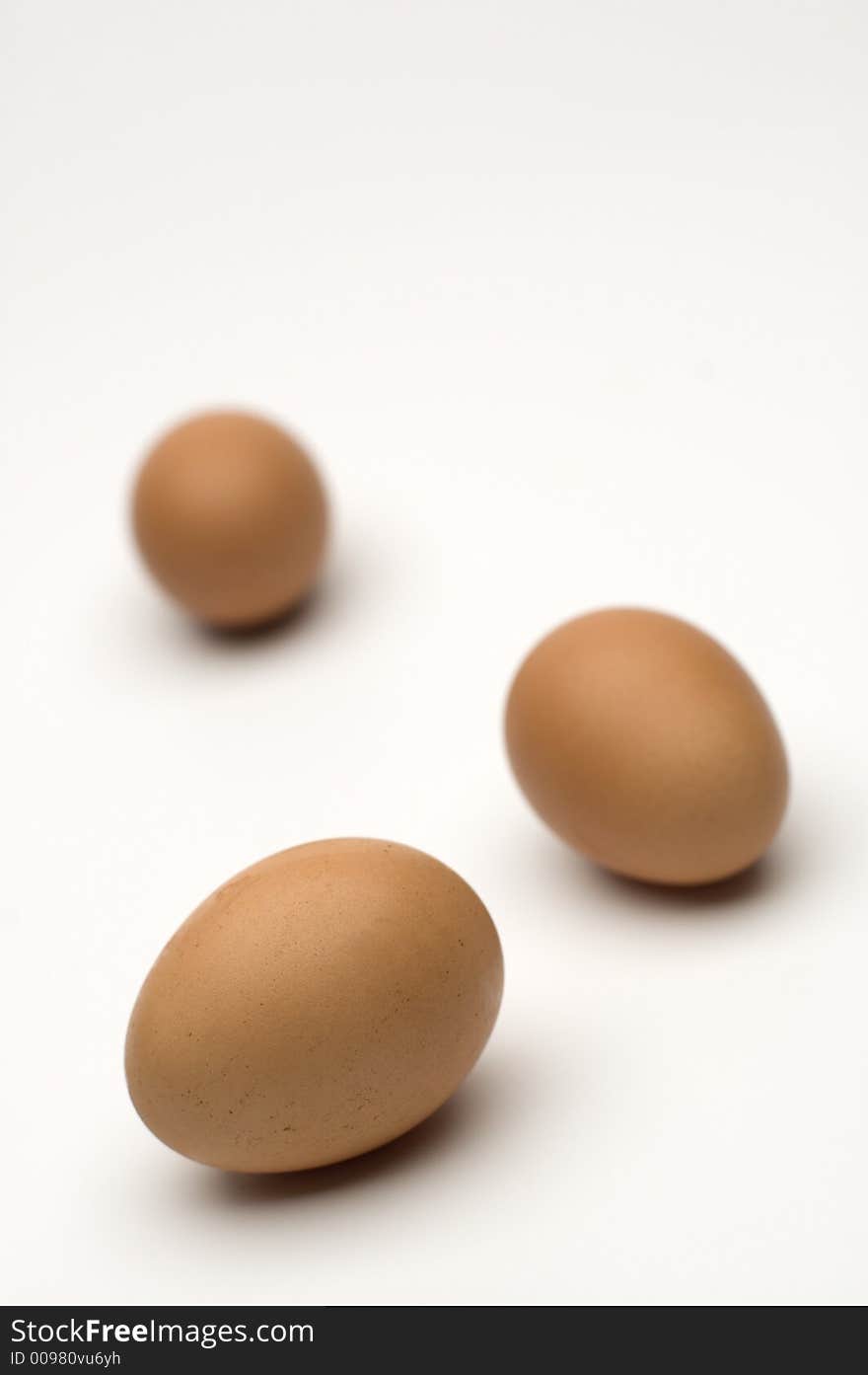 Brown chicken egg close up