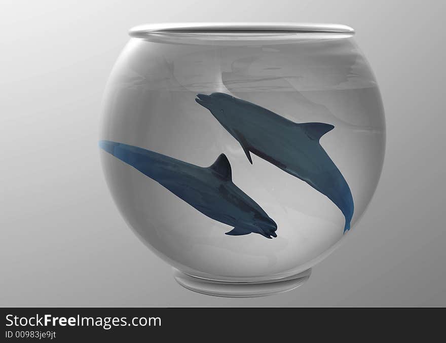 Dolphins in a fishbowl