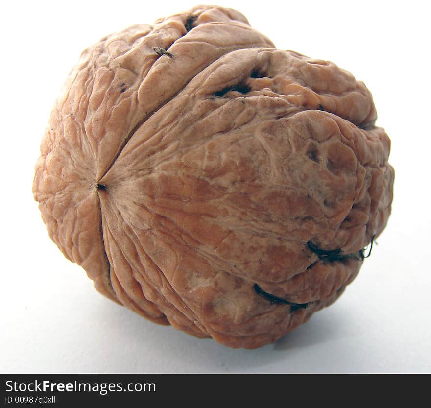 Closeup of a big walnut on white background