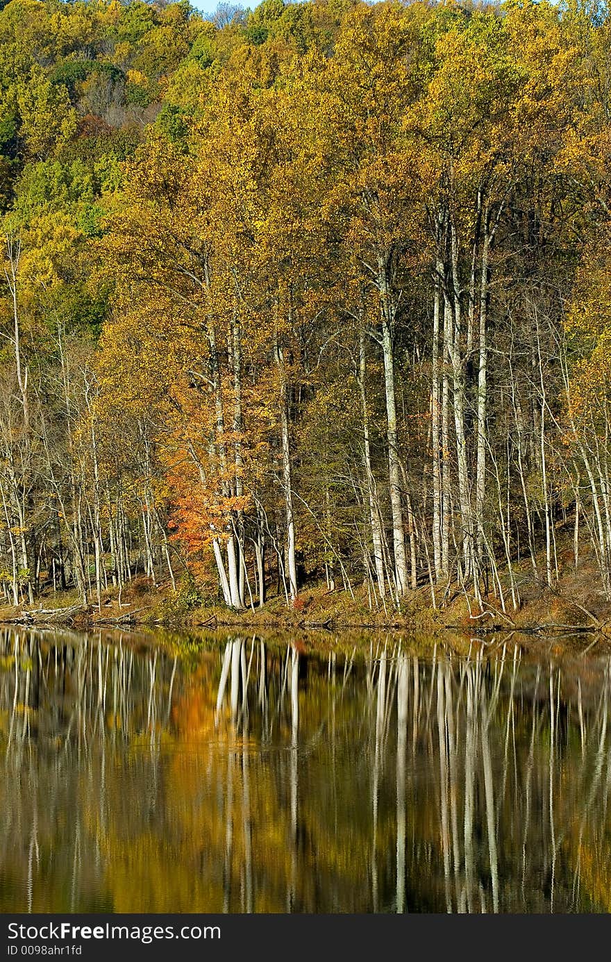 Autumn Reflections