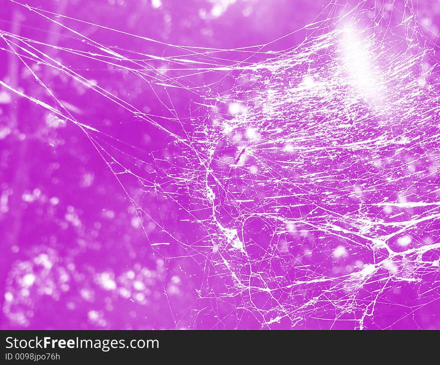 The sun glaring through a spider web that happens to be the color purple or violet. The sun glaring through a spider web that happens to be the color purple or violet.