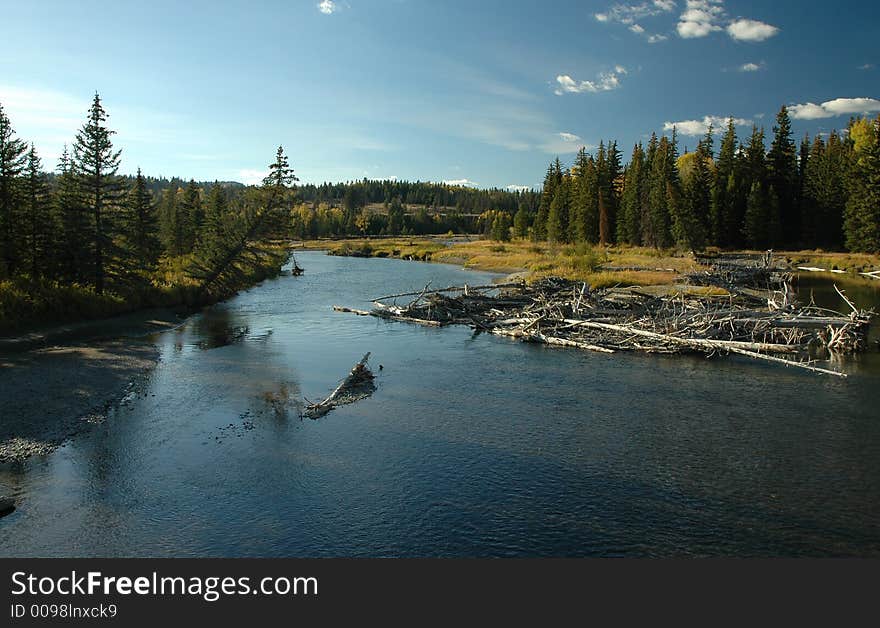 Small stream in Yellowstone National Park. Small stream in Yellowstone National Park