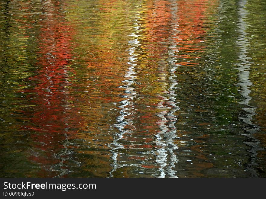 Autumn tree reflected in water. Autumn tree reflected in water