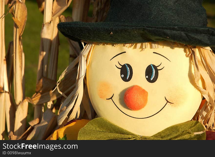 A close up of a scarecrows face