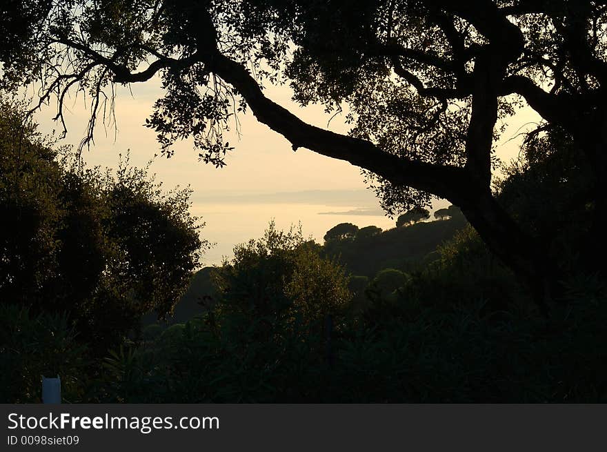 This is a view from where I stay over the bay on the Costa Del Sol. Southern Spain. I took this photo during the fall. The light, the golden light!. This is a view from where I stay over the bay on the Costa Del Sol. Southern Spain. I took this photo during the fall. The light, the golden light!