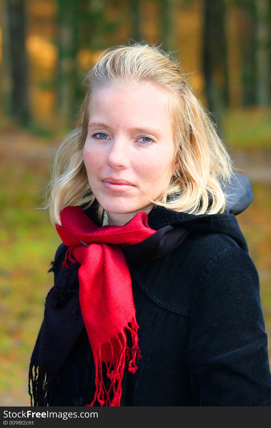 Blonde woman in an autumn wood. Blonde woman in an autumn wood