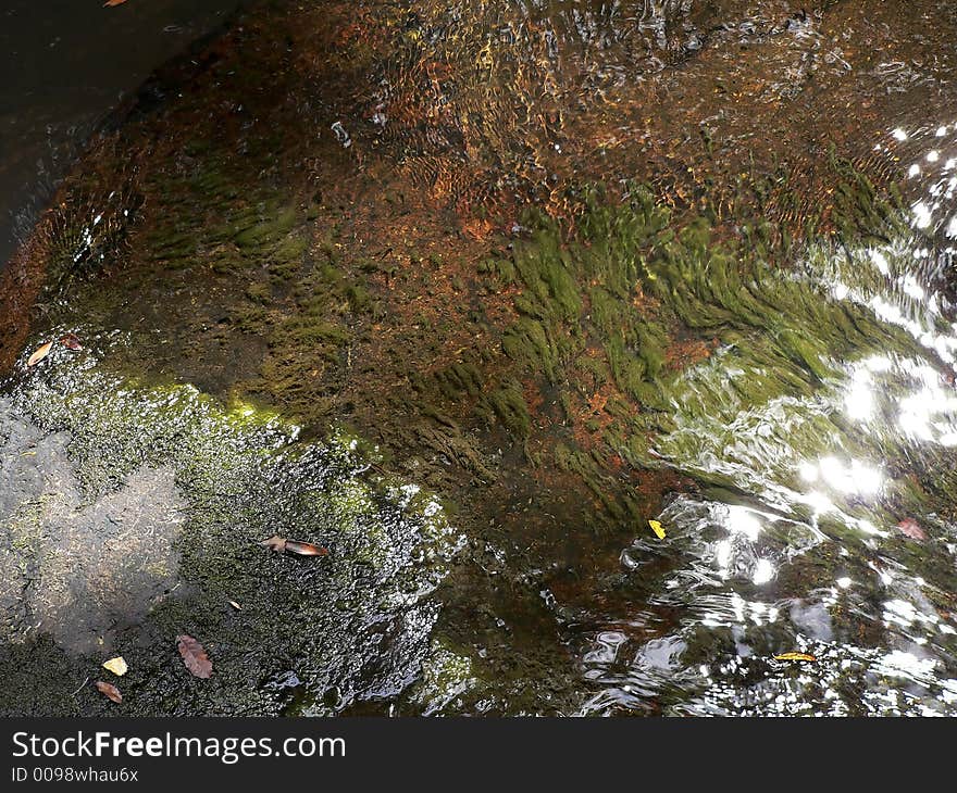 Closeup of a stone located in a shallow river. Closeup of a stone located in a shallow river.