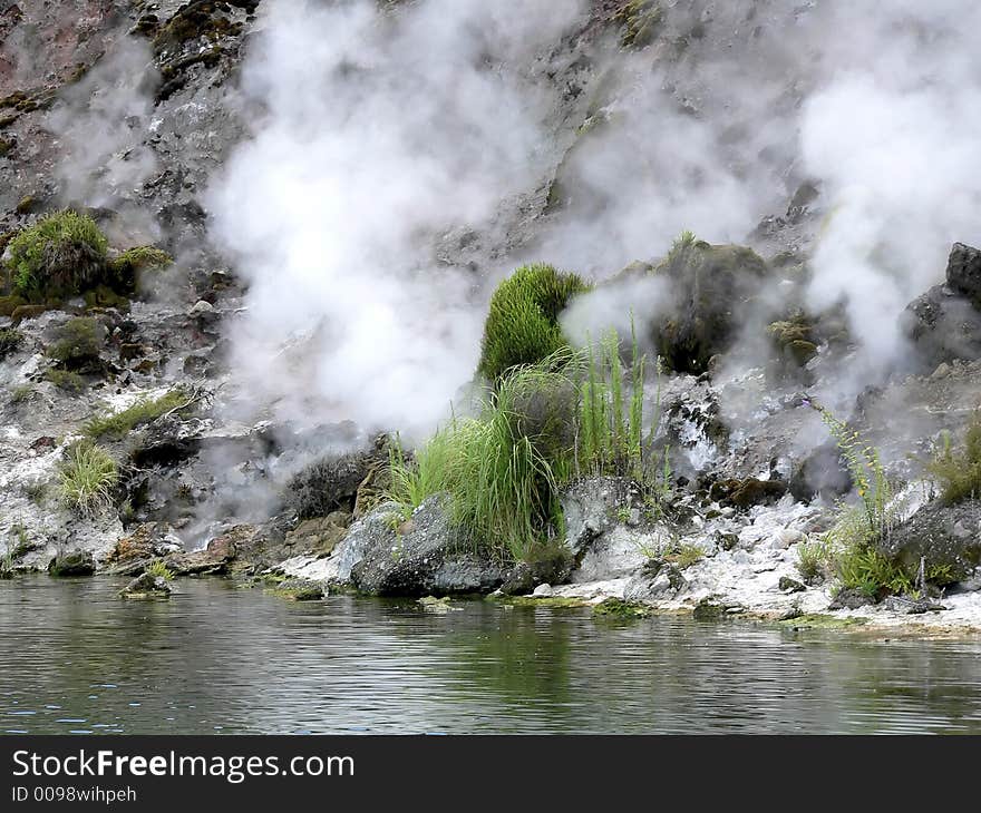 Steaming Shore