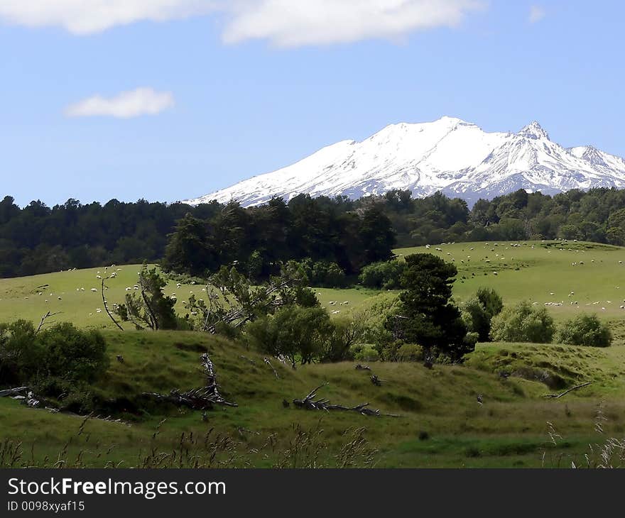 View of a distant Glacier on the Northern Part of New Zealand