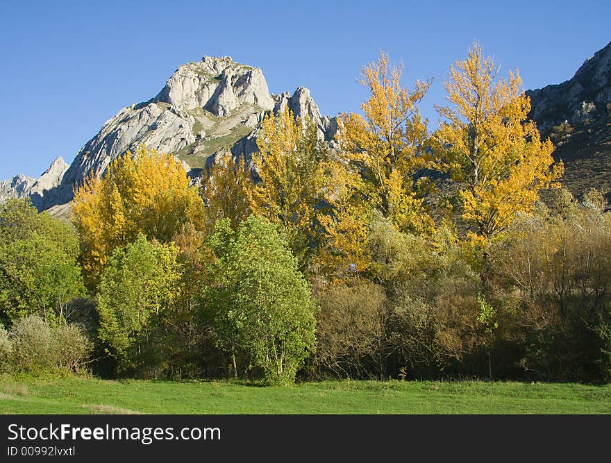 Mountain in autumn with green and yellow trees in the foreground, and blue sky