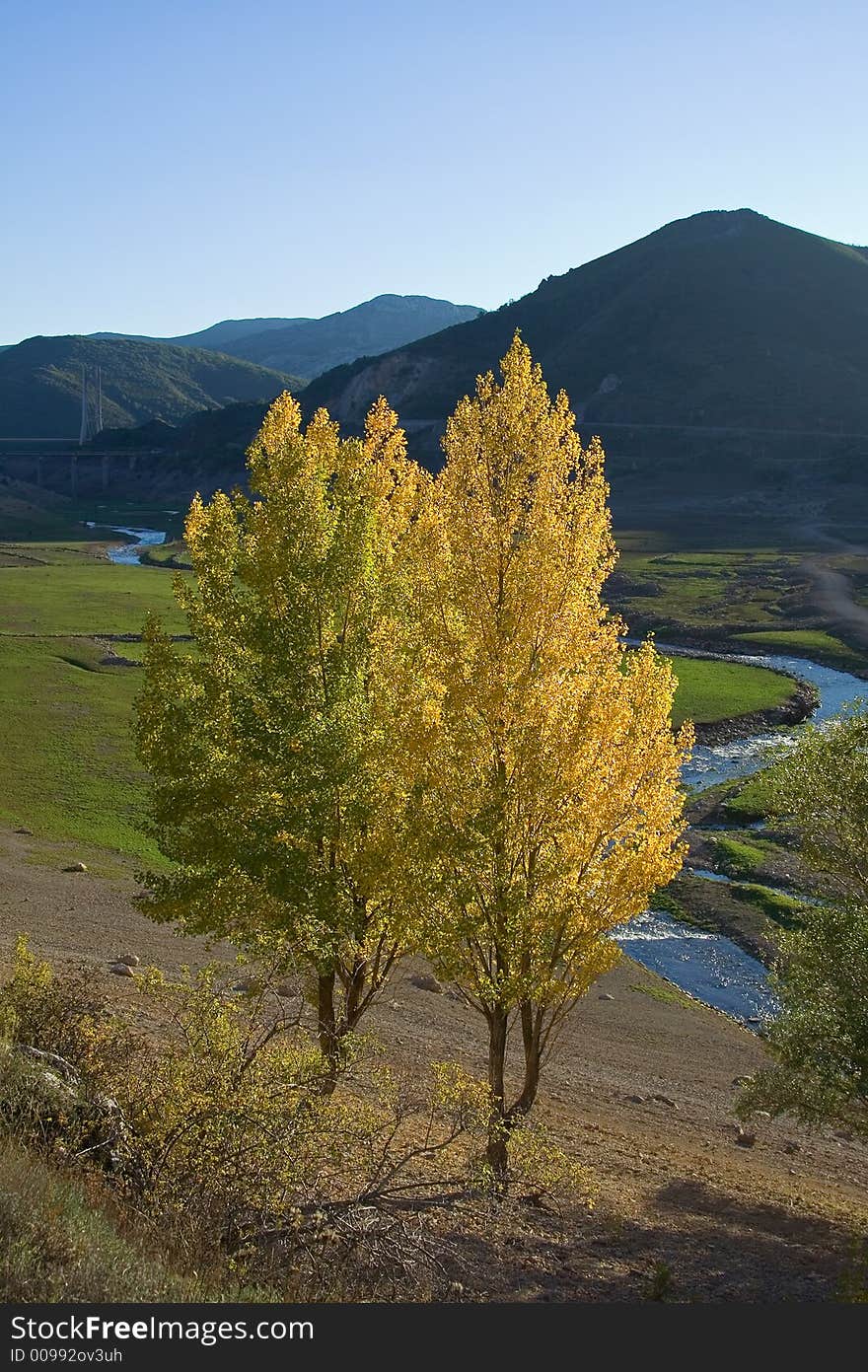 River valley with autumnal trees, one yellow one still green. River valley with autumnal trees, one yellow one still green