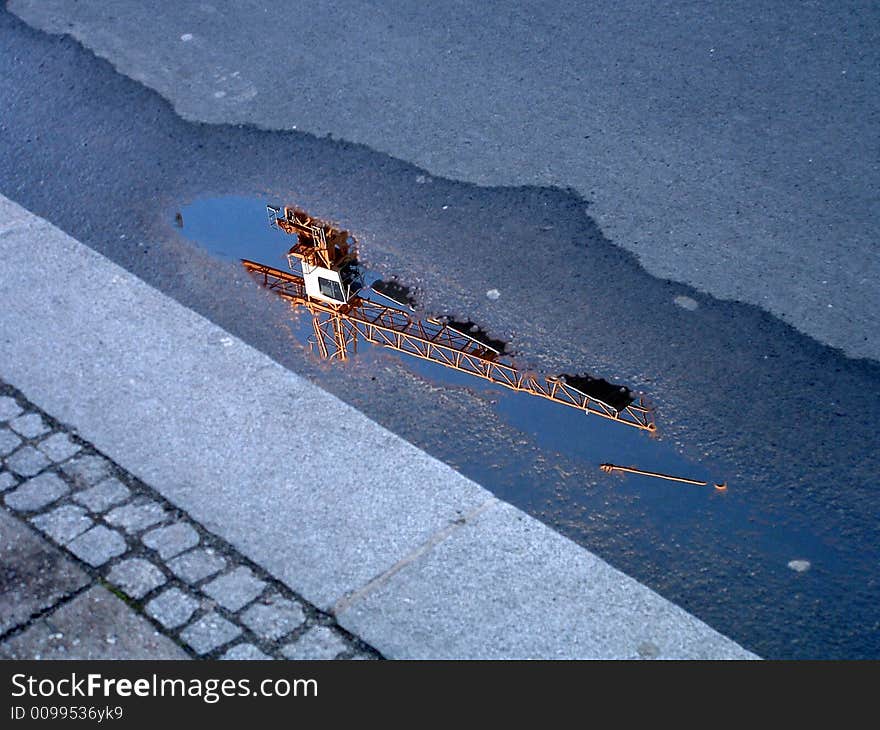 Cranes in a puddle