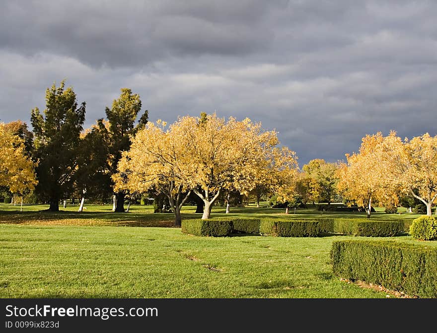 An impressive sky - clouds rolling in illuminated by a setting sun. Trees in autumn colors glow. An impressive sky - clouds rolling in illuminated by a setting sun. Trees in autumn colors glow.