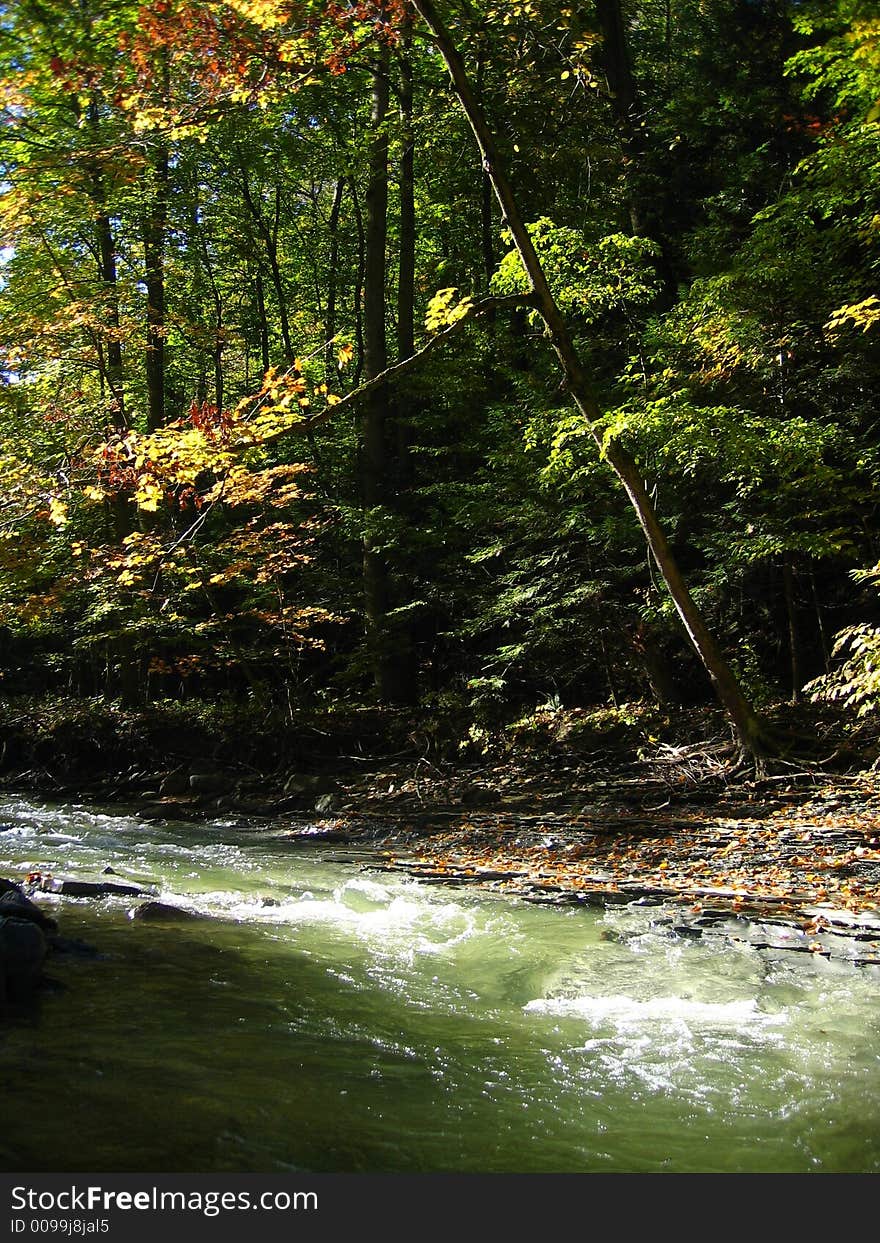 Chautauqua Creek in Westfield, NY, USA