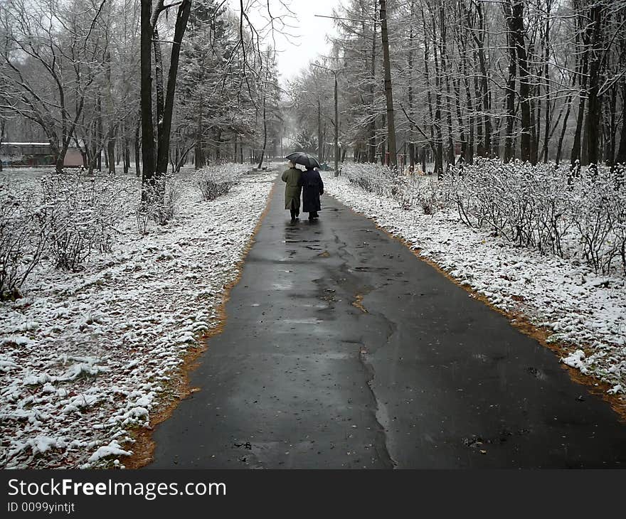 Walk in park the covered snow, the late fall. Walk in park the covered snow, the late fall