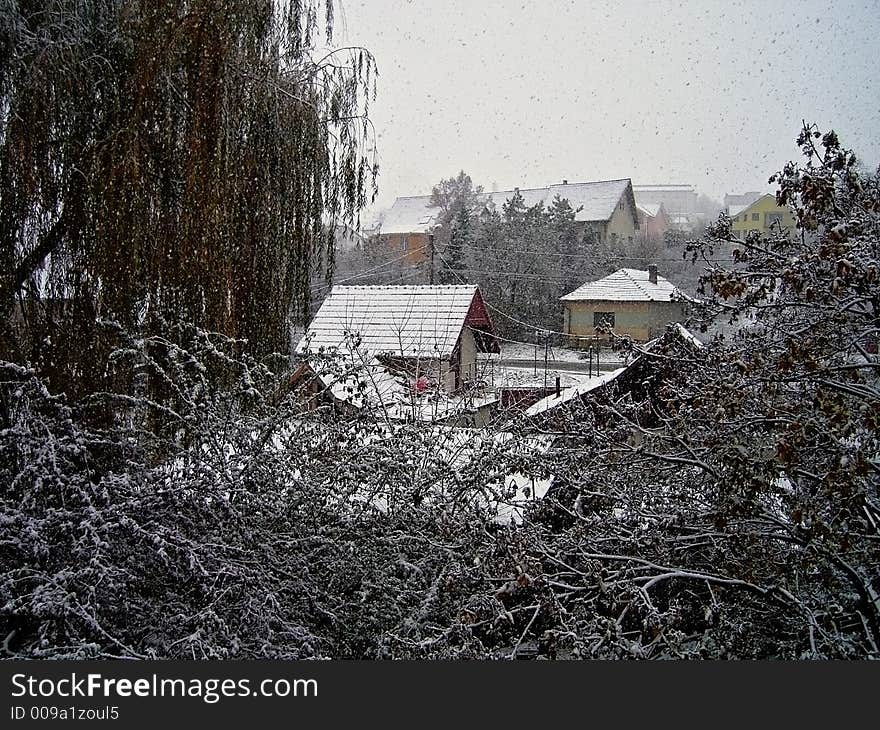 First Snow 2006