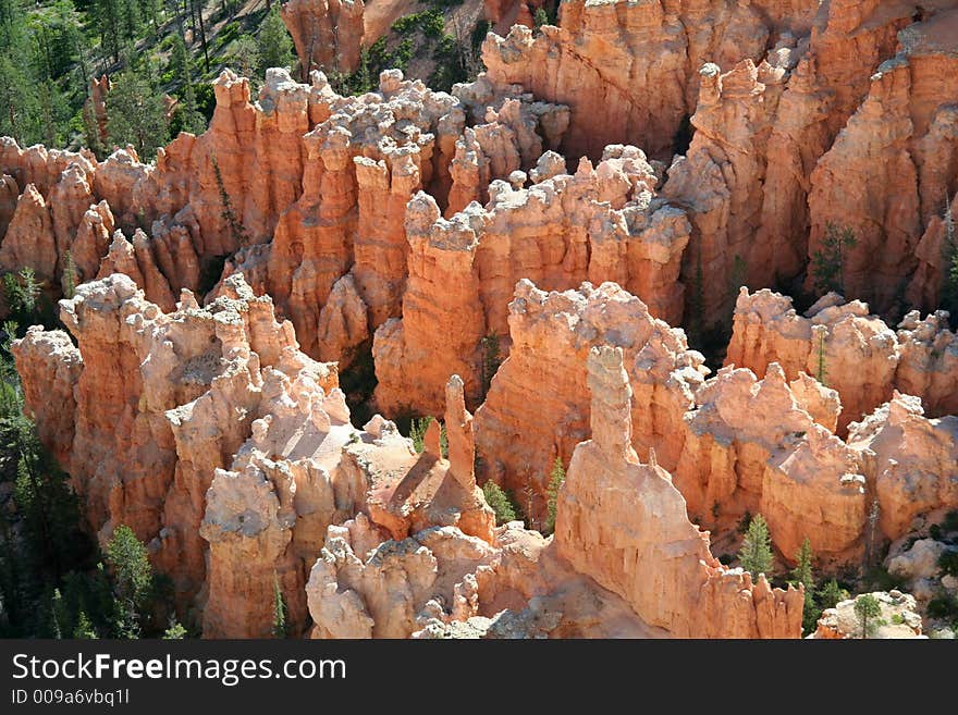 Bryce Canyon Close Up View