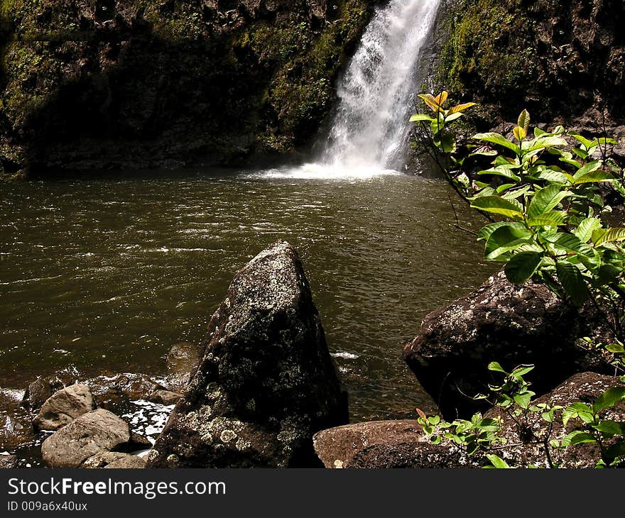 Tropical Falls