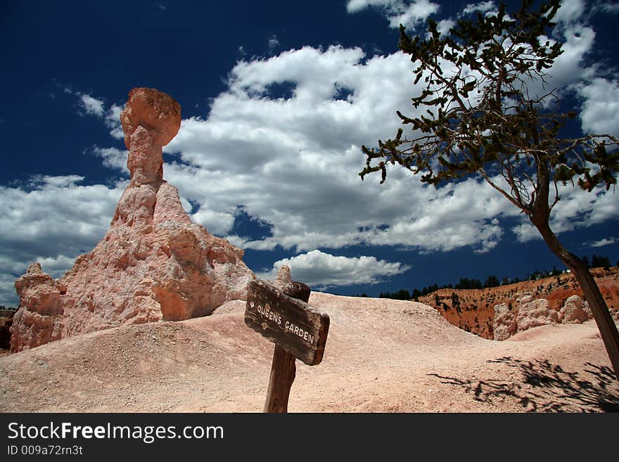 Bryce Canyon National Park - Utah - USA. Bryce Canyon National Park - Utah - USA