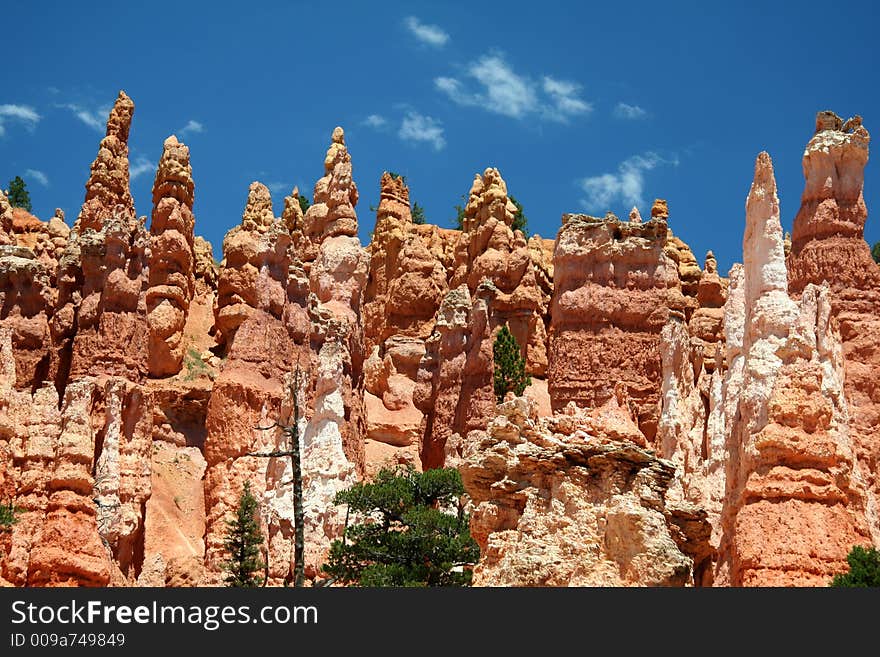 Bryce Canyon National Park - Utah - USA. Bryce Canyon National Park - Utah - USA