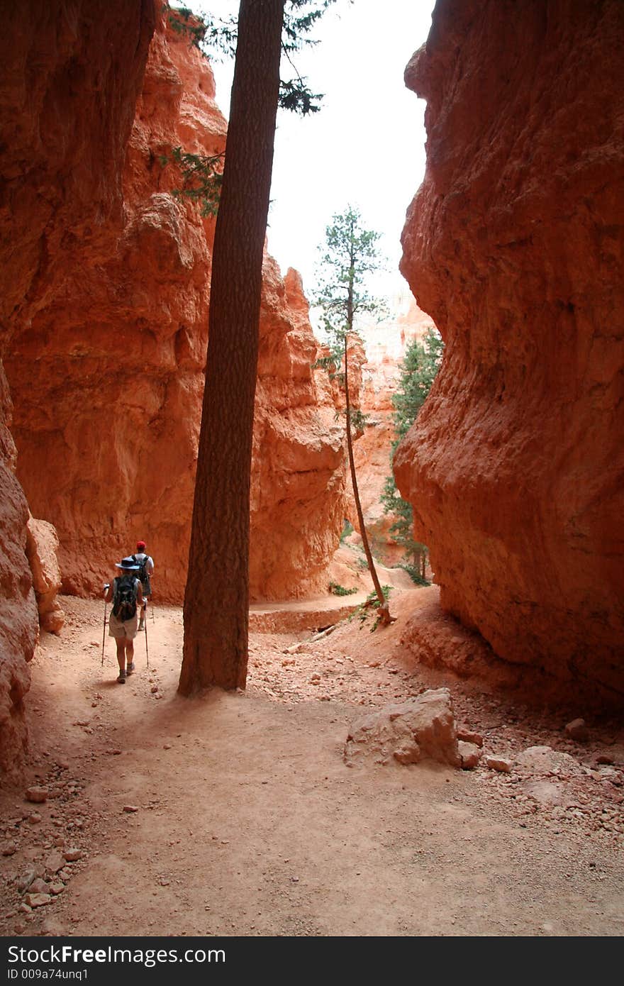 Hikers on Desert Trail